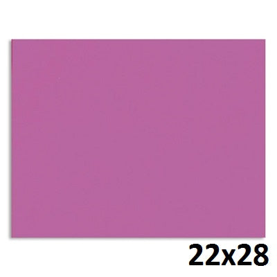 Poster Board-22X28 2 Ply, Fluorescent Pink