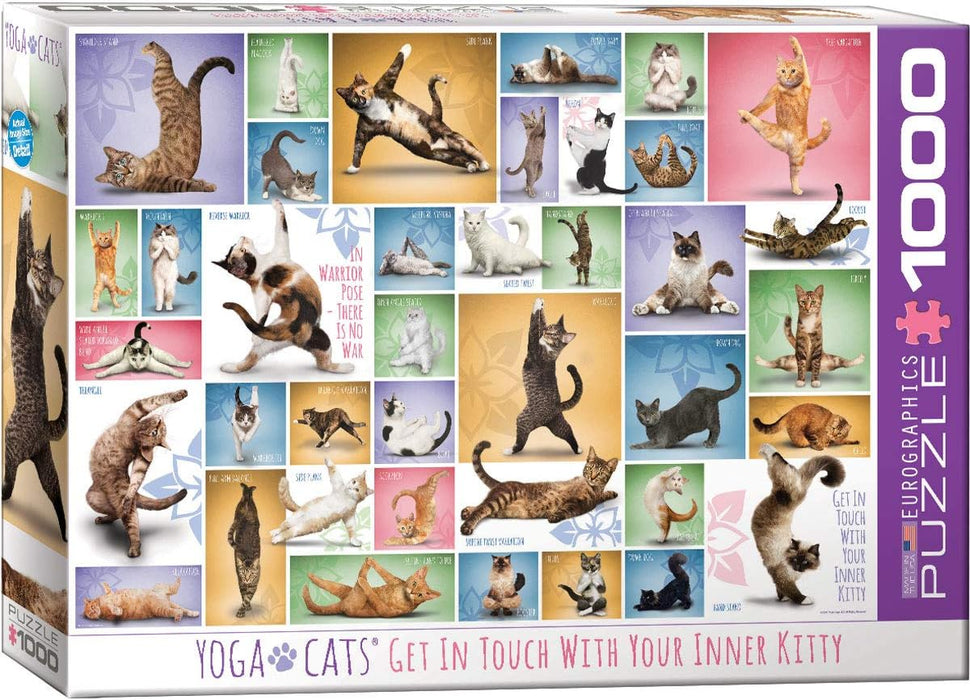 Eurographics 6000-0953 Yoga Cats Puzzle (1000 Piece)