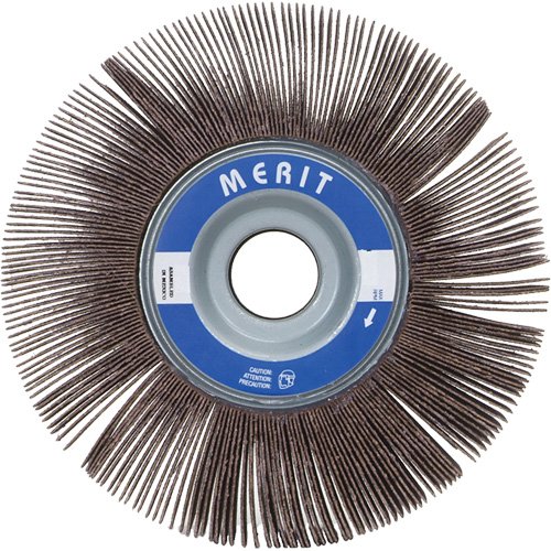 BQ335-Flap Wheels - Bench Mounted Flap Wheels