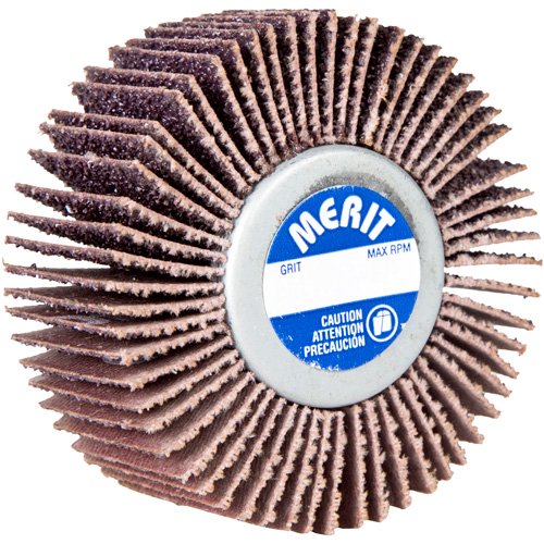 BQ670-Grind-O-Flex™ Mini Quick-Change Flap Wheel