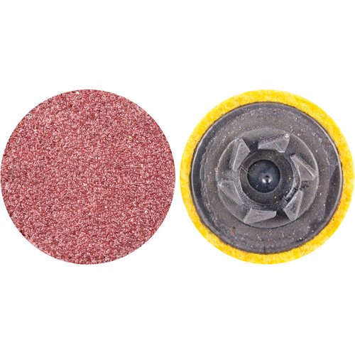 BR032-Quick-Change Cloth Disc