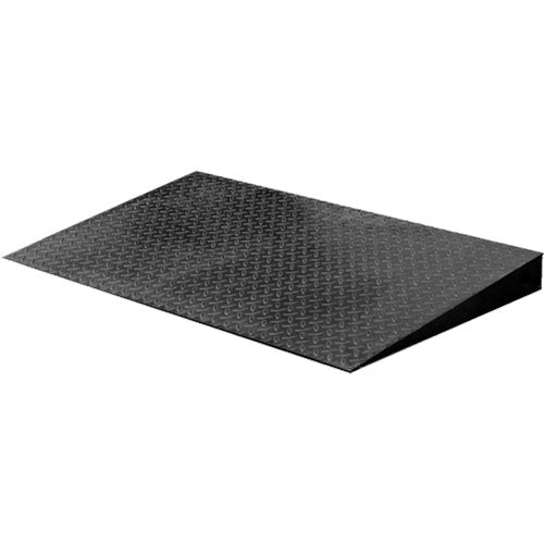 IA563-VN Series Economical Floor Scales - Ramp