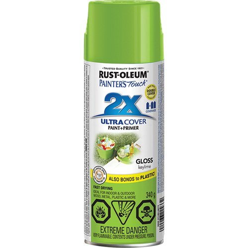 KQ051-Painter's Touch® Ultra Cover Paint