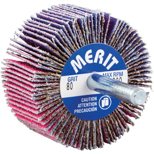 NY100-Shank Mounted Mini Flap Wheel