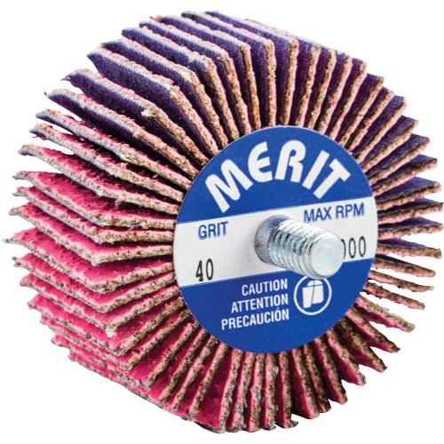NY110-Threaded Mini Flap Wheel