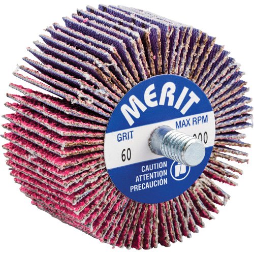 NY111-Threaded Mini Flap Wheel