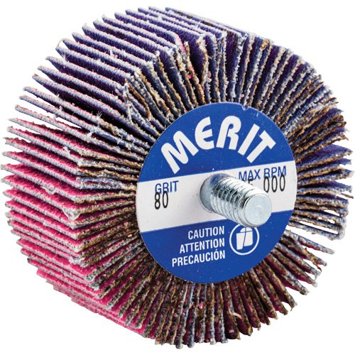 NY112-Threaded Mini Flap Wheel