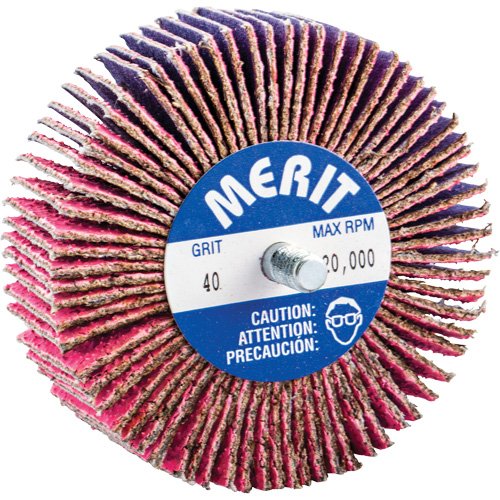 NY114-Threaded Mini Flap Wheel