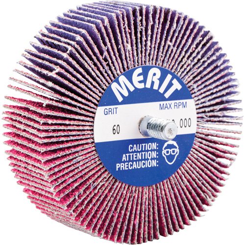 NY115-Threaded Mini Flap Wheel
