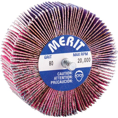 NY116-Threaded Mini Flap Wheel