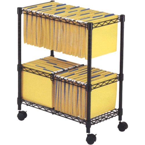 OE806-File Carts- 2-tier Rolling File Cart