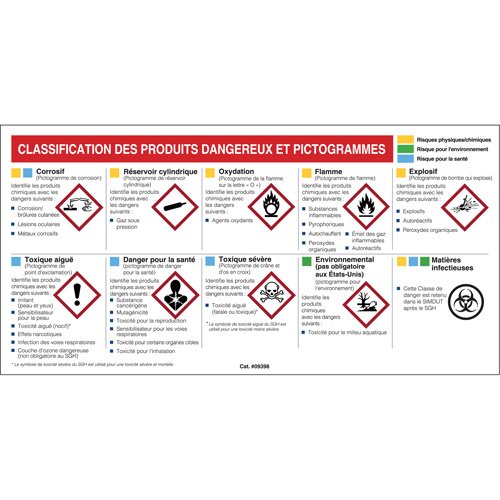 SJ005-Mini MSDS Chart- French