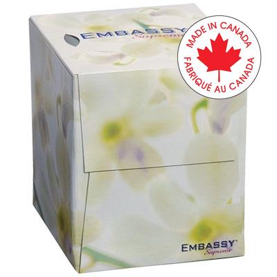 Facial Tissue-Embassy 2-Ply 100 Sheet Cube — TG Store