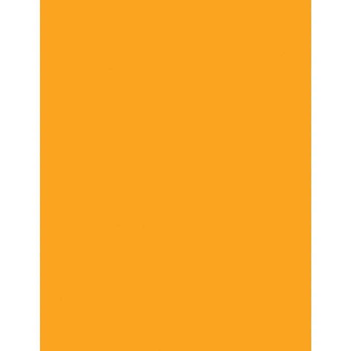 Cover Stock-Astrobrights Letter 65Lb Orbit Orange