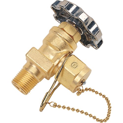 TTT853-Station Valve with Dust Cap & Chain