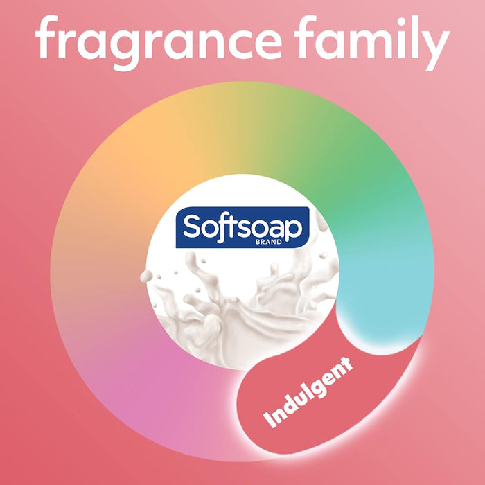 Softsoap Moisturizing Liquid Hand Soap Pump, Milk and Honey - 221ml (Case Pack of 6)