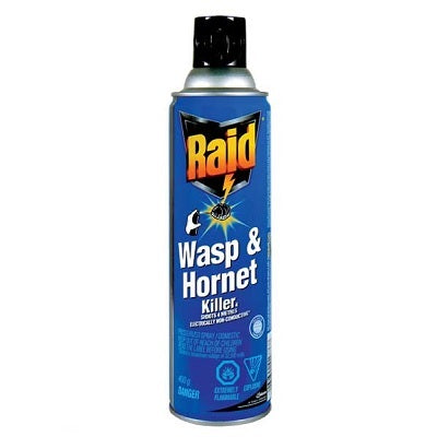 Insecticide-Raid Wasp & Hornet 400G.