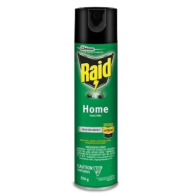 Insecticide-Raid Home Insect Killer 350G