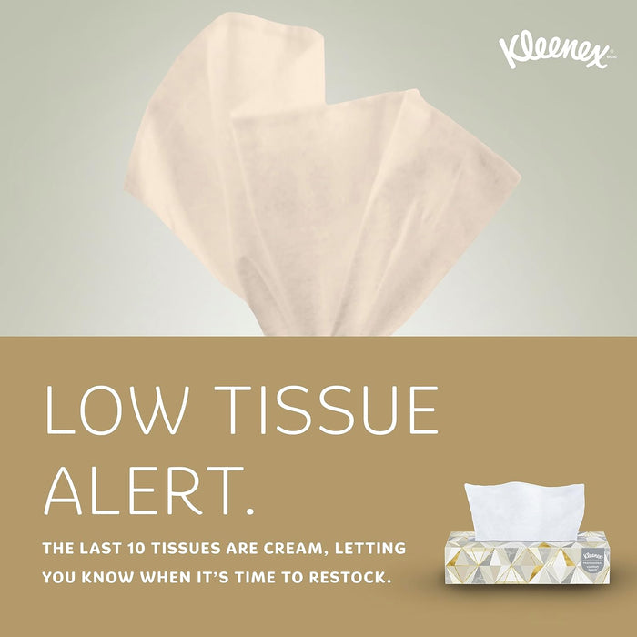 Kleenex Professional Facial Tissue (21606), 2-Ply, White, Flat Facial Tissue Boxes for Business (125 Tissues/Box, 48 Boxes/Case, 6,000 Tissues/Case)