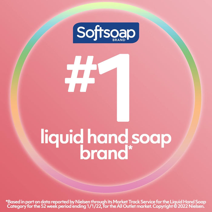 Softsoap Moisturizing Liquid Hand Soap Pump, Milk and Honey - 221ml (Case Pack of 6)