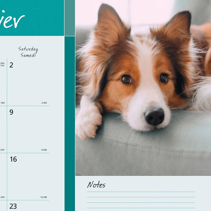 Calendar Pad-Desk Monthly 22X17 Man'S Best Friend(Dogs) 2027 (C194116B-27)