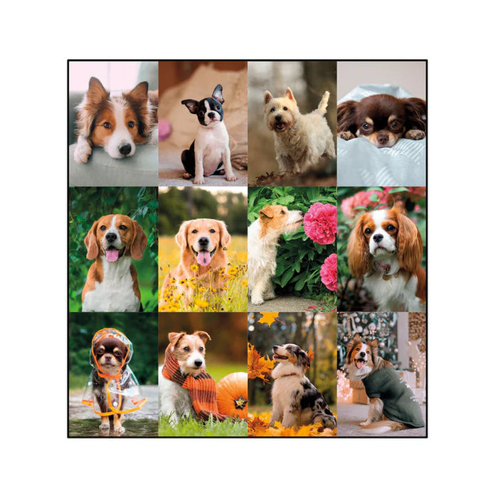 Calendar Pad-Desk Monthly 22X17 Man'S Best Friend(Dogs) 2027 (C194116B-27)
