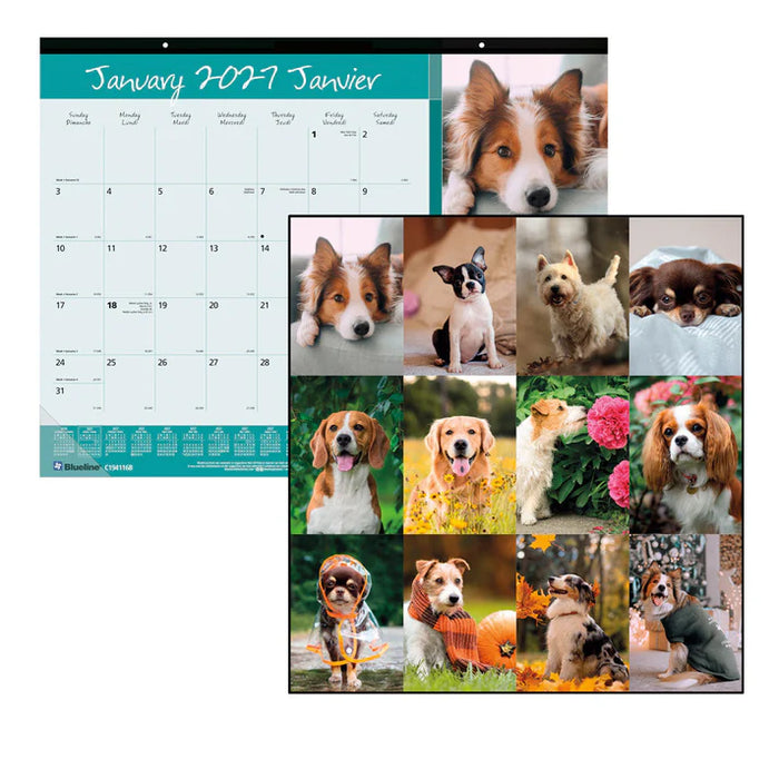 Calendar Pad-Desk Monthly 22X17 Man'S Best Friend(Dogs) 2027 (C194116B-27)