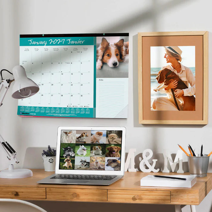 Calendar Pad-Desk Monthly 22X17 Man'S Best Friend(Dogs) 2027 (C194116B-27)