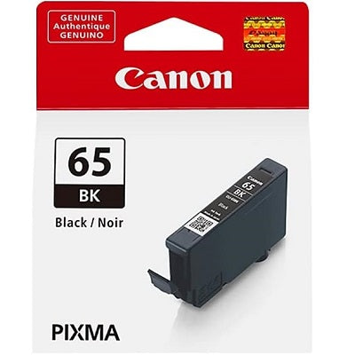 Inkjet Cartridge-Canon #65 Black -4215C002
