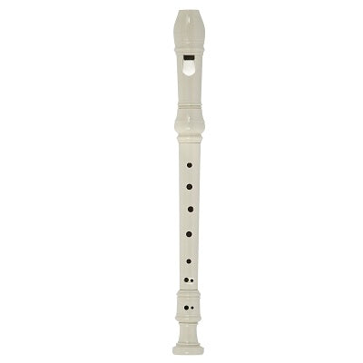 Recorder With Cleaning Stick