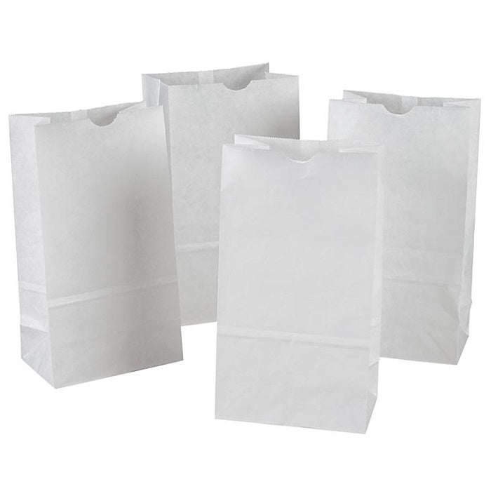 Bags-Craft, Creativity Street, 6X3-5/8X11" White 50/Pk