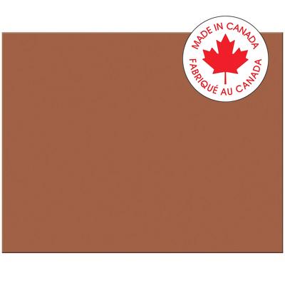 Railroad Poster Board-Pacon 4-Ply 22X28" Brown
