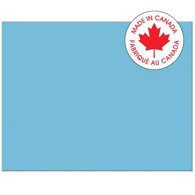 Railroad Poster Board-Pacon 4-Ply 22X28" Light Blue