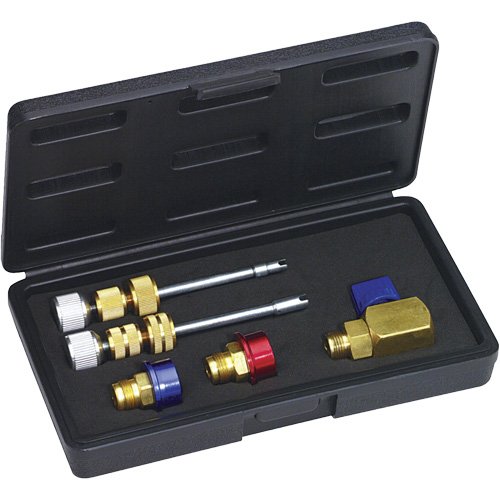 FLV196 - R134a Eaton (M8 & M10) Valve Core Kit