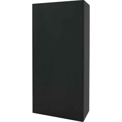 FN656 - Combination Storage Cabinet