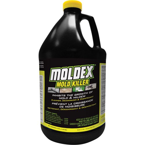 JL729 - Moldex® Mold Killer