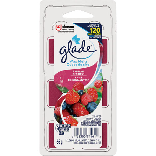 JM407-Glade® Air Freshener Melts