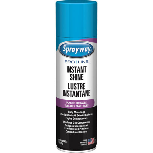 JQ970 - Pro Line Instant Shine for Plastic Surfaces