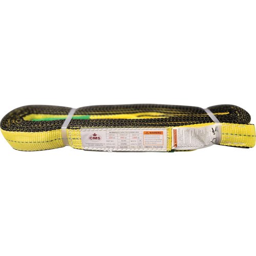 LW717 - Polyester Web Sling