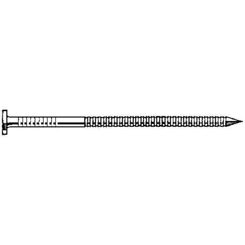 MMS290-Natural Stainless Steel Nails