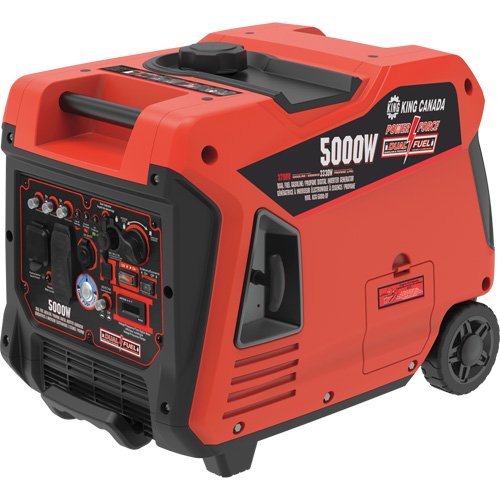 NAA174-Dual Fuel Gasoline/Propane Inverter Generator