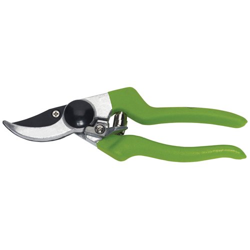 NE448-Pruners