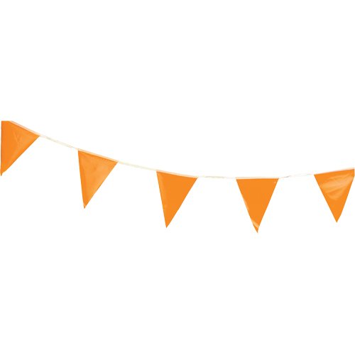 NG129-Pennants