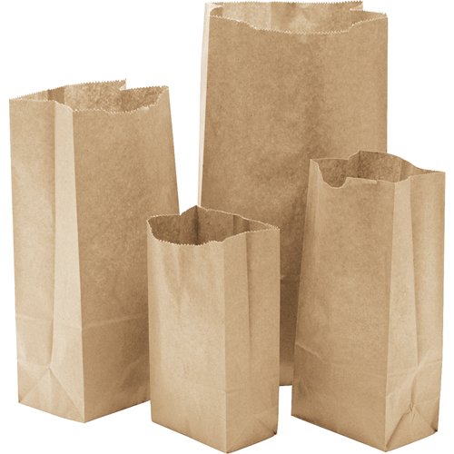 NG407-Paper Bags #14
