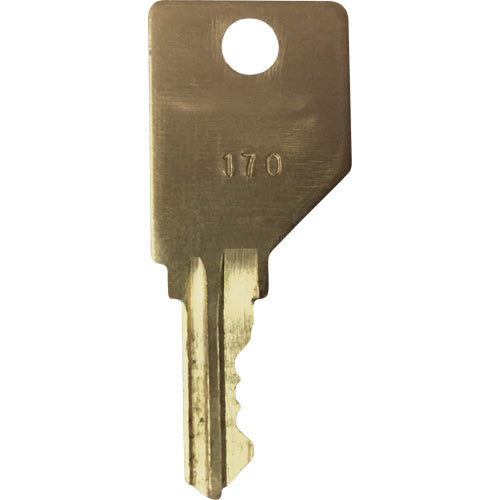 NI750-Replacement Key for Frost Smoking Receptacles