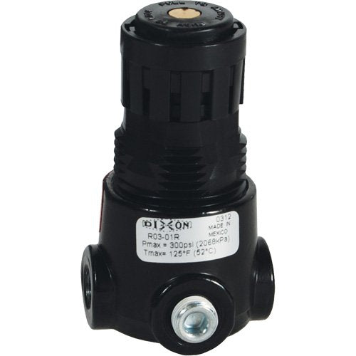 NJE834-Wilkerson Miniature Regulator R03