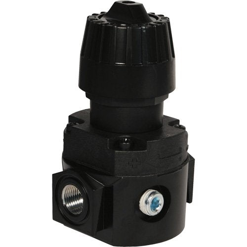 NJE837-Wilkerson Compact Regulator R16