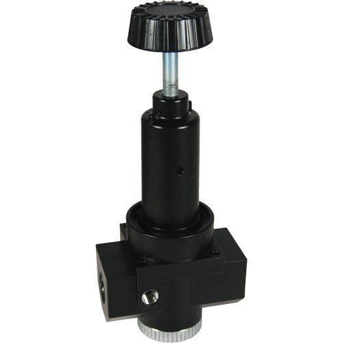 NJE841-Wilkerson High Flow Regulator R30