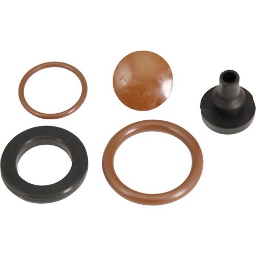 NO319-Pump Service Kit