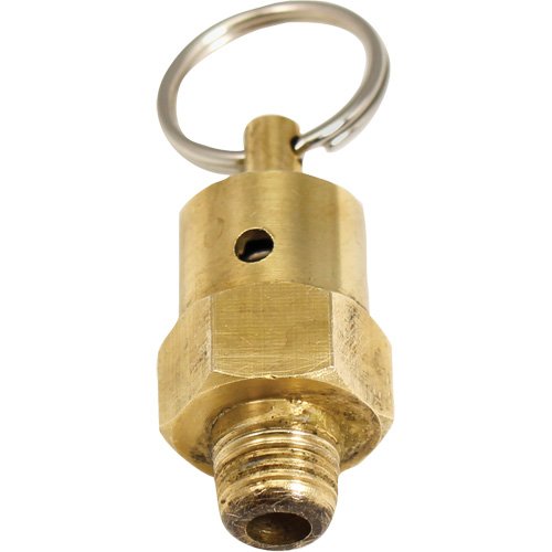 NO355-Viton® Pressure Relief Valve